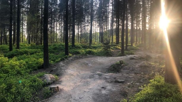 Trail Day – 7th Feb, Greno Woods